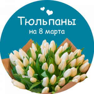 Купить тюльпаны в Карачеве